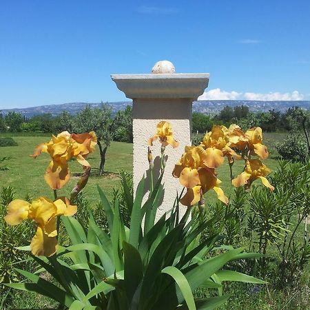 Lamanderie En Provence Bed & Breakfast Alleins Exterior photo