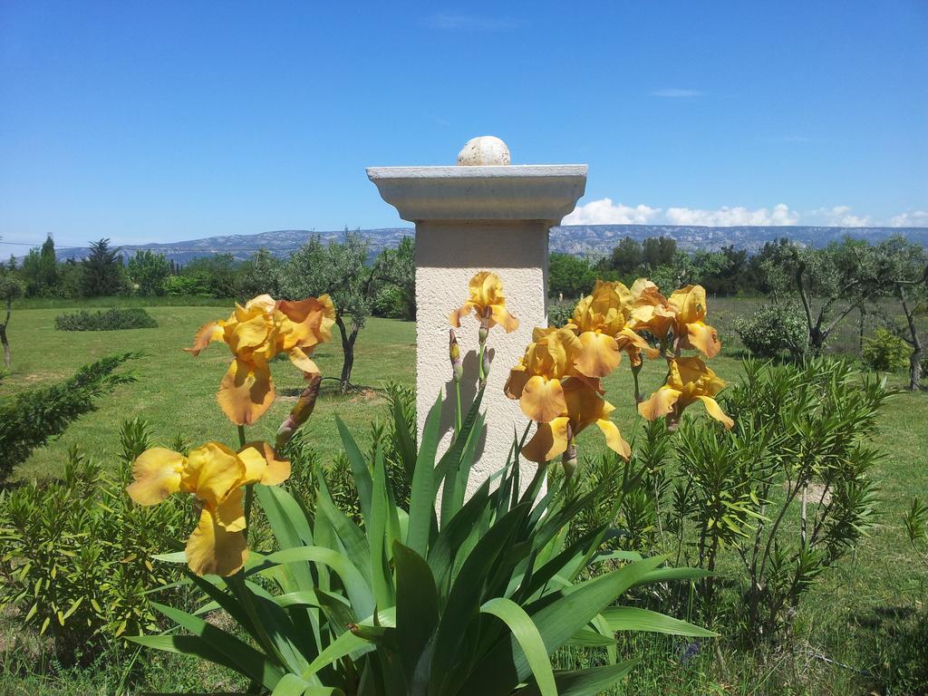 Lamanderie En Provence Bed & Breakfast Alleins Exterior photo